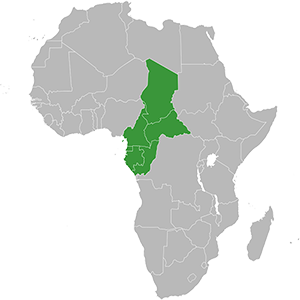 CEMAC Countries